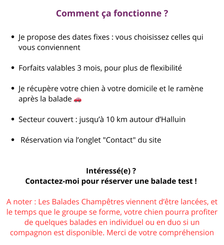 Comment ça fonctionne Je propose des dates fixes, vous choisissez celles qui vous conviennent. Forfaits valables 3 mois pour plus de flexibilité. Prise en charge à votre domicile 🚗 Secteur jusqu (1)
