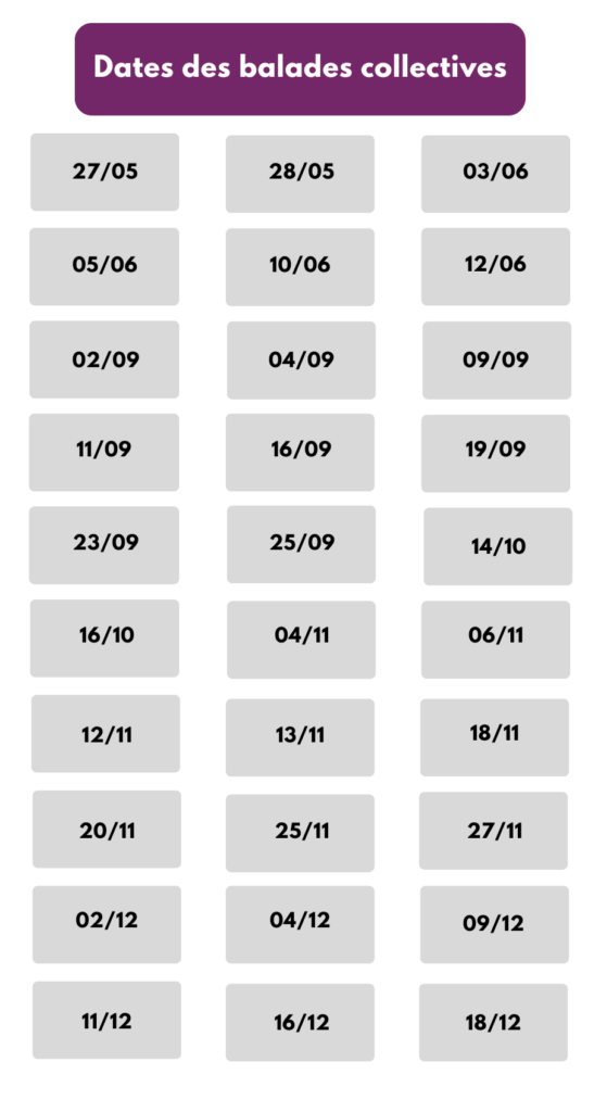 Grey & White Minimalist Important Dates Planner (1)